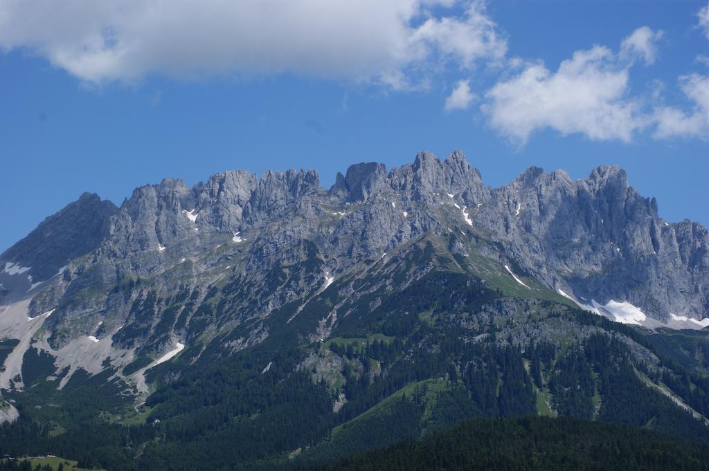Ferienwohnung Steiner In Scheffau Scheffau am Wilden Kaiser Bagian luar foto